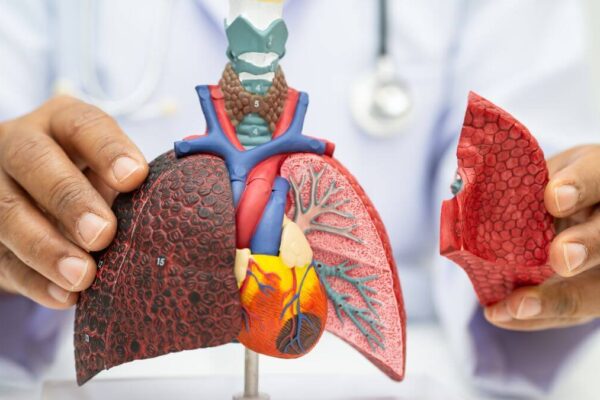 What Does an Internal Medicine Doctor Do? A Guide for Seeking Specialized Care